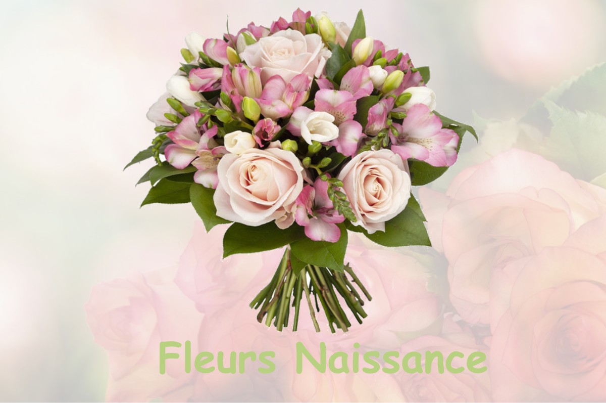 fleurs naissance AISEY-SUR-SEINE